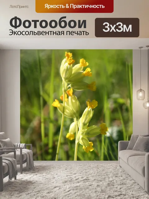Фотообои Весна