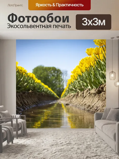 Фотообои Тюльпаны