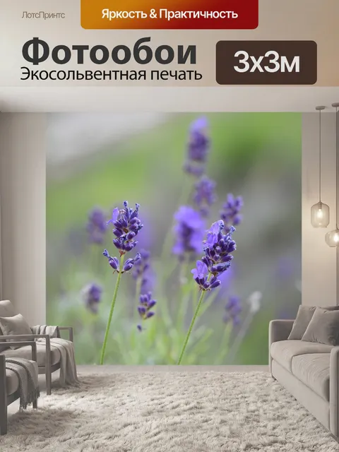 Фотообои Лаванда