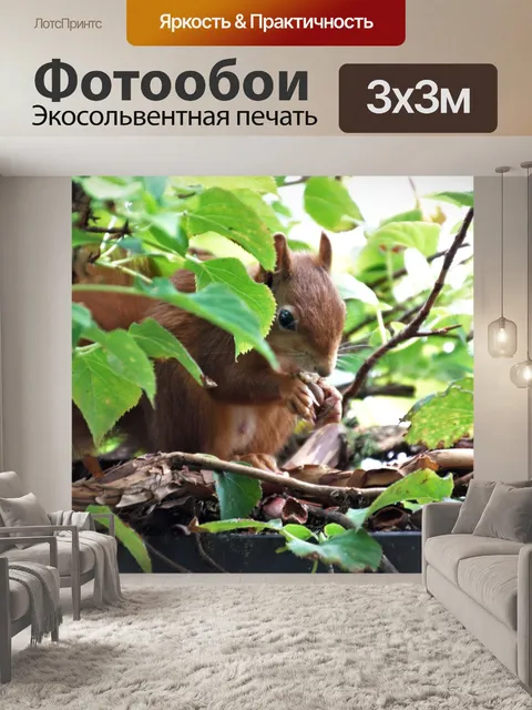 Фотообои Белка