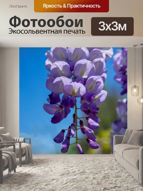 Фотообои Цветы