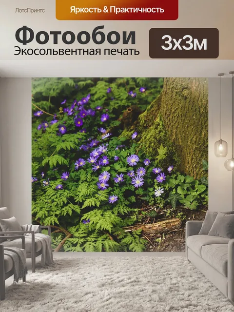 Фотообои Цветы