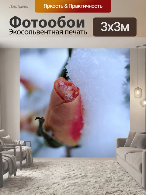 Фотообои Роза