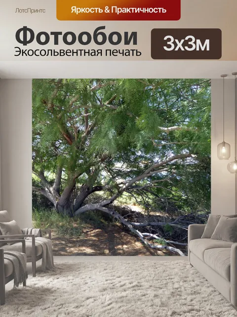 Фотообои дерево