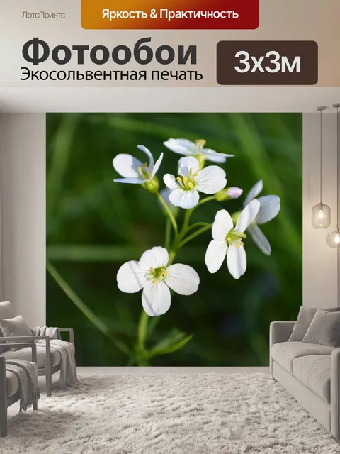 Фотообои Цветок