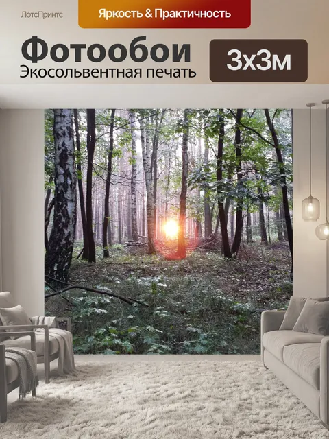 Фотообои Березовый лес