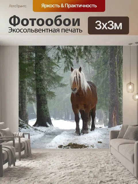 Фотообои Лошадь