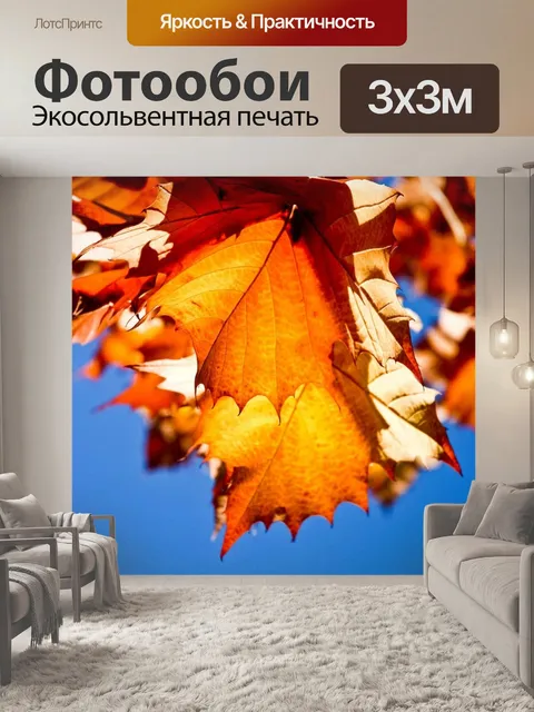 Фотообои Платан