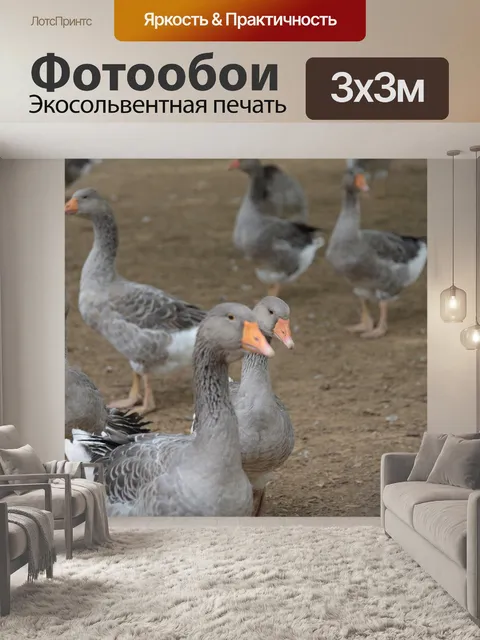 Фотообои Гуси