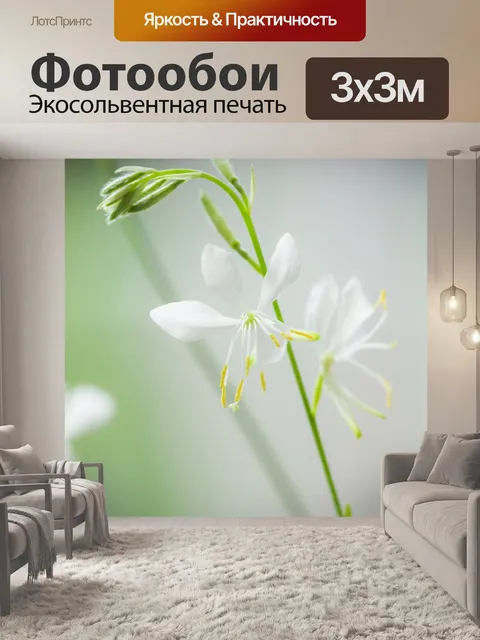 Фотообои Белый