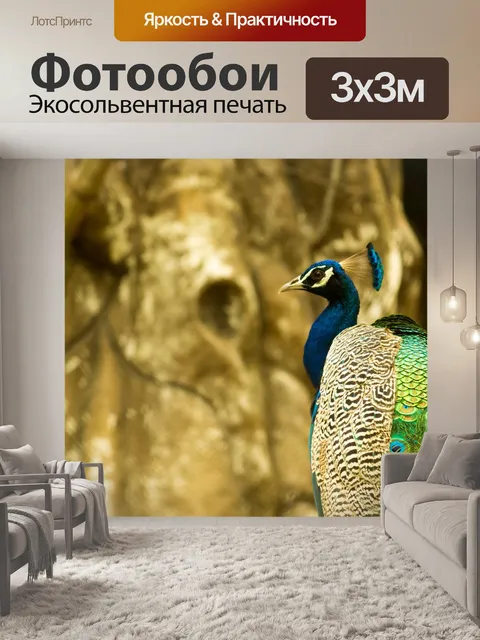 Фотообои Павлин