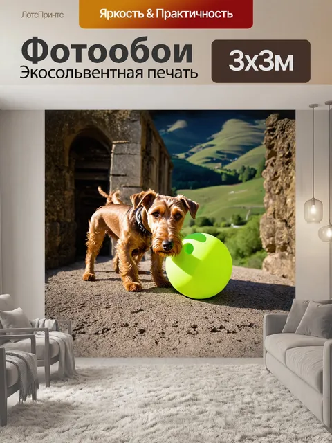 Фотообои ирландский терьер, играющий с яркой игрушкой на фоне старинного каменного забора
