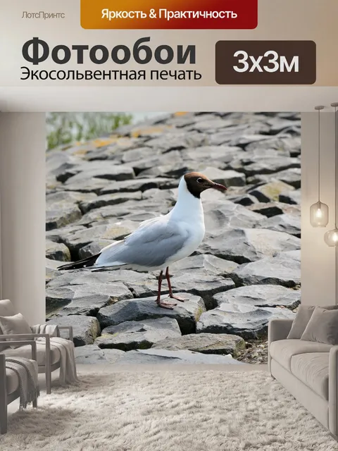 Фотообои Птицы