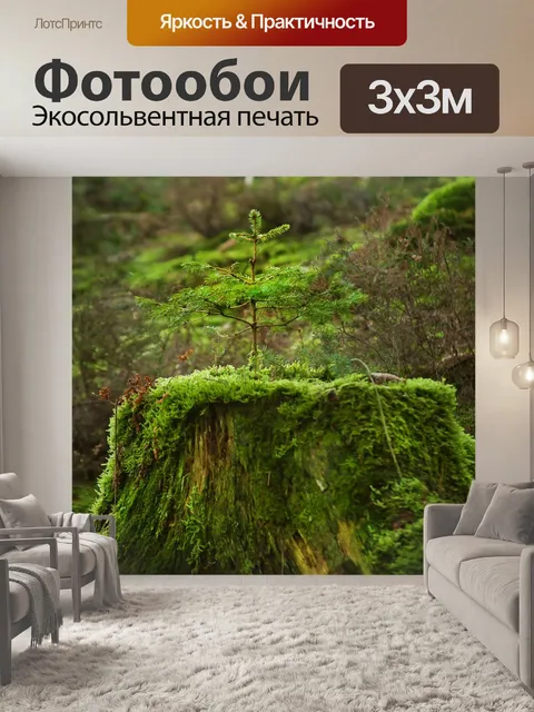 Фотообои Дерево
