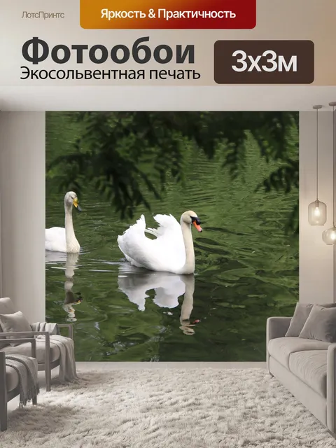 Фотообои Лебеди