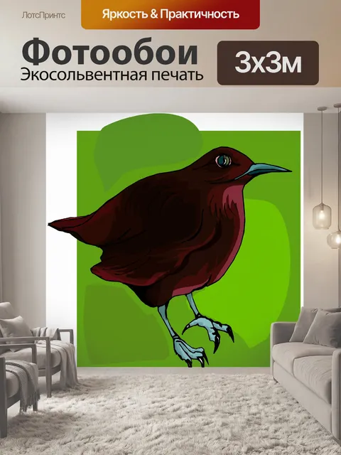 Фотообои (тропических) птицы