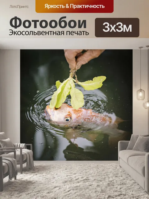 Фотообои Рыбы