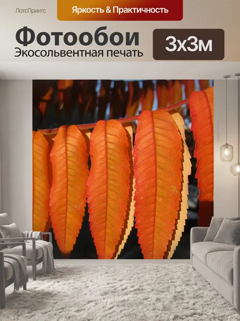 Фотообои Листья
