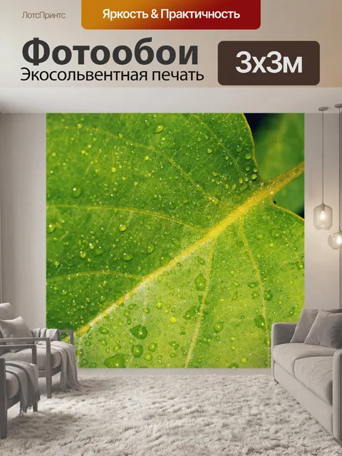 Фотообои Лист