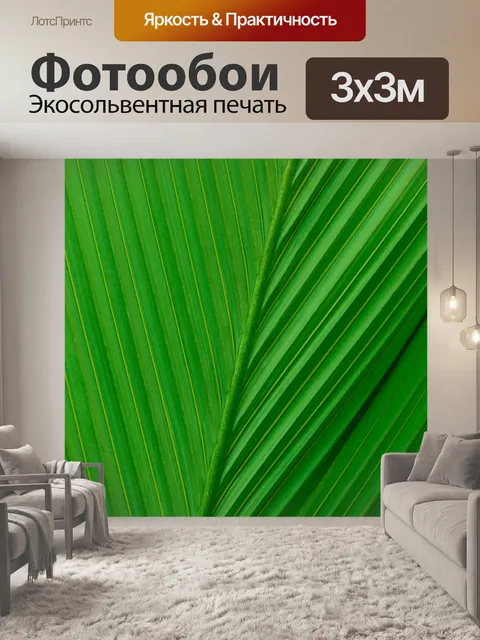 Фотообои пальма лист