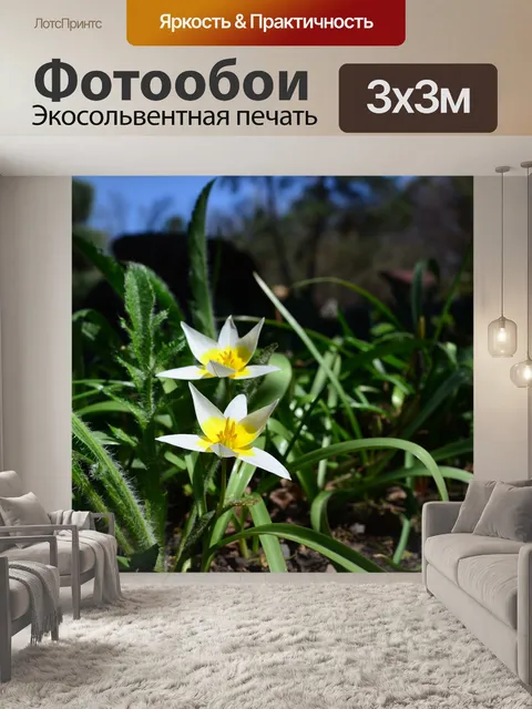 Фотообои Цветы