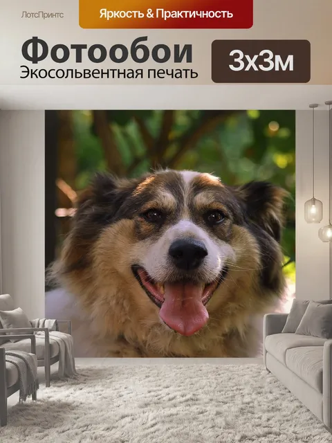 Фотообои Собака