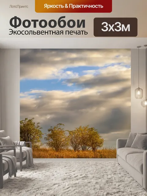 Фотообои Деревья