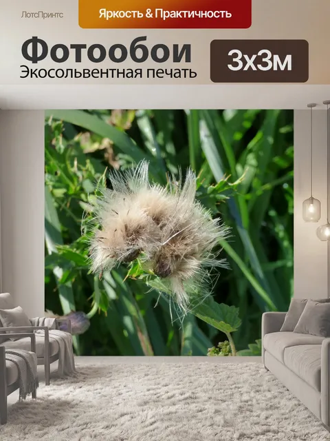 Фотообои Пейзаж Природа