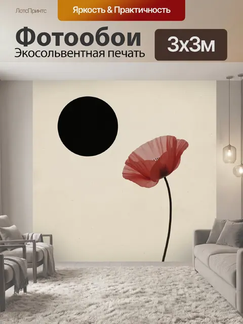 Фотообои Красный мак и черный круг