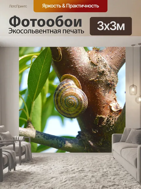 Фотообои Улитка