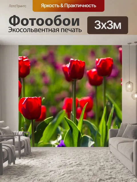 Фотообои Тюльпаны