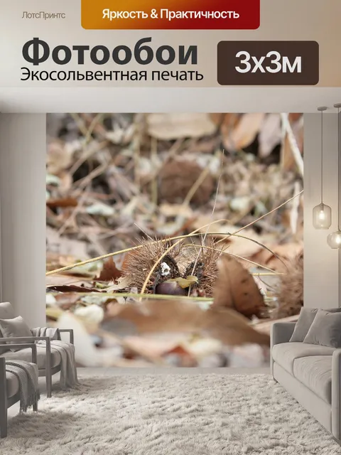 Фотообои Ночь