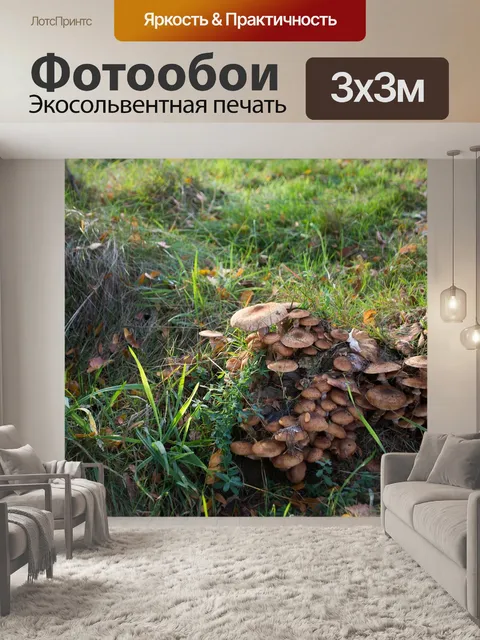 Фотообои Лес