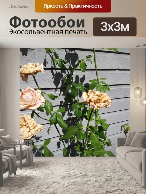 Фотообои Желтые розы 2