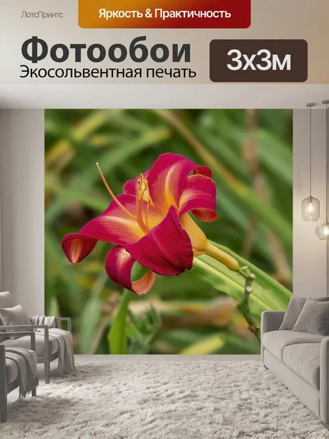 Фотообои Цветы