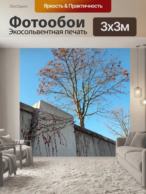 Фотообои 22. ноя 20 стена