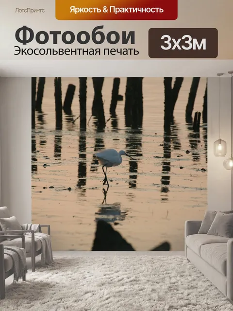 Фотообои Птица
