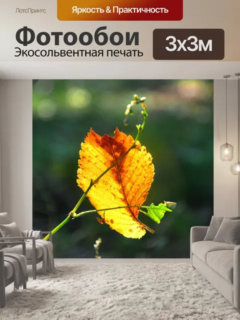 Фотообои Лес