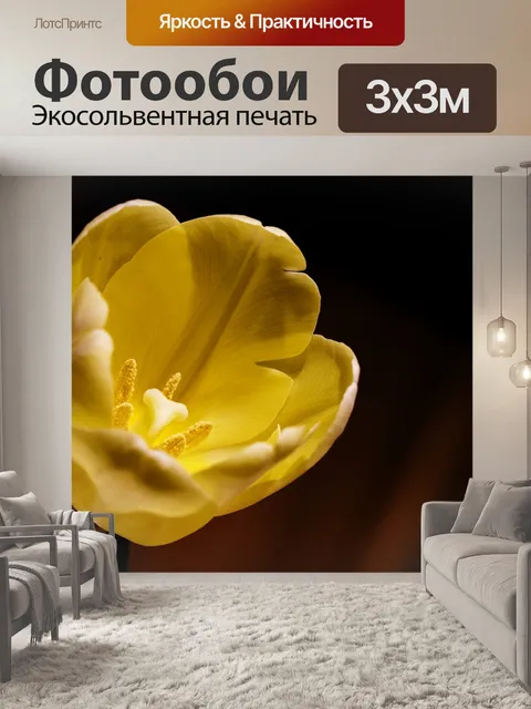 Фотообои Тюльпан
