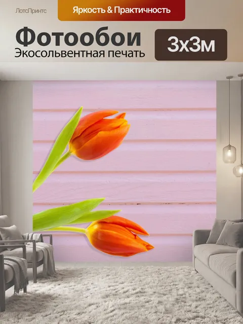 Фотообои Тюльпан Цветы Оранжевый