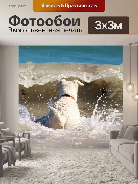 Фотообои Собака