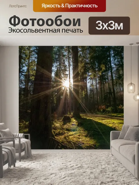 Фотообои Лес