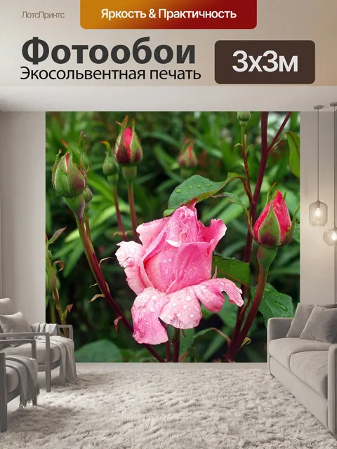 Фотообои Бутоны розы