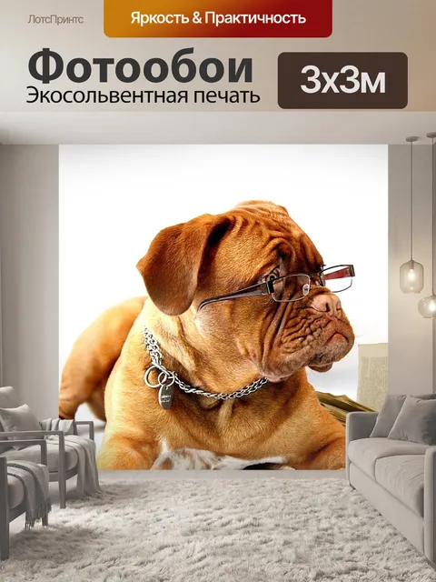 Фотообои Собака