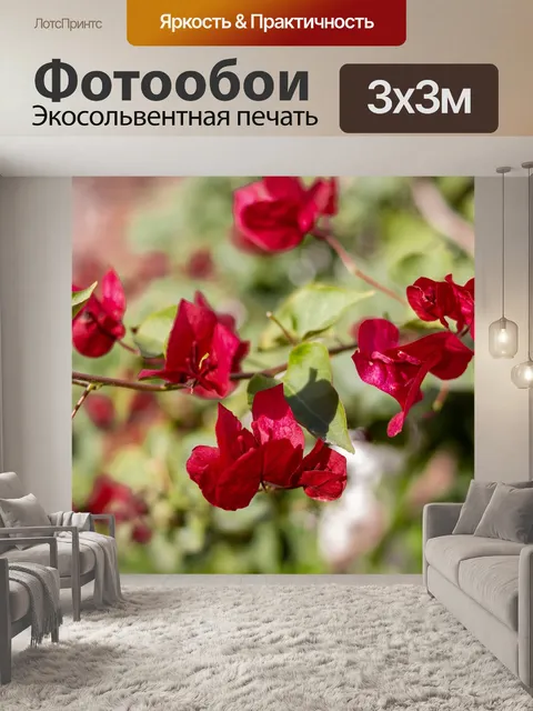 Фотообои Цветы