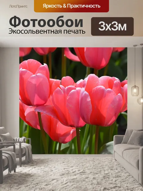 Фотообои Розовый