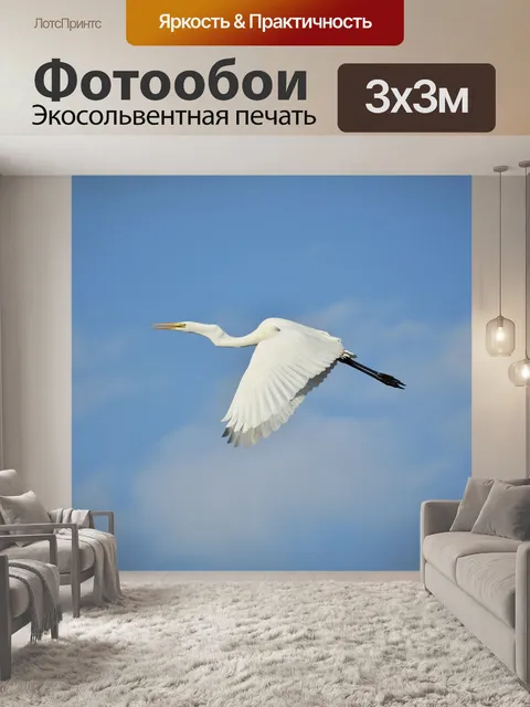 Фотообои Животное