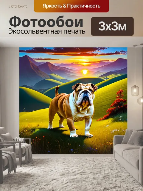 Фотообои английский бульдог, который наслаждается вечерней прогулкой по живописным холмам, подсвеченным закатным светом