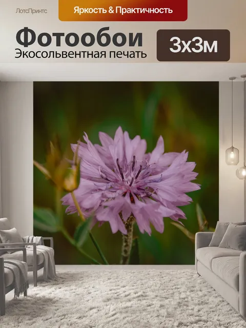 Фотообои Цветы