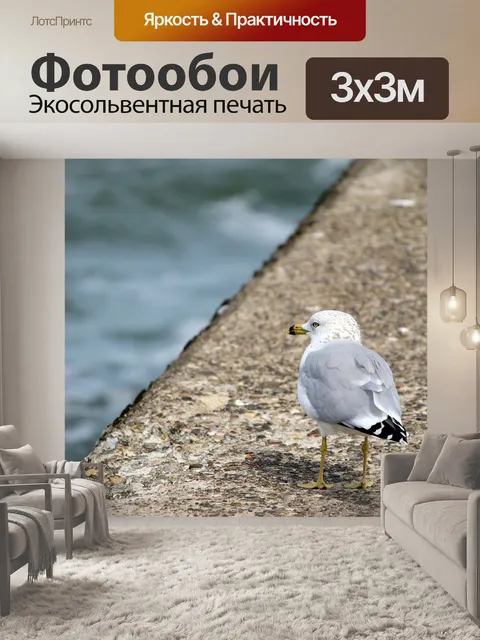 Фотообои Морской берег